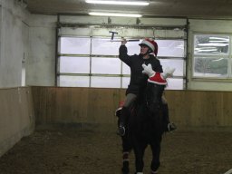 2011 Juleafslutning